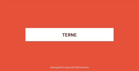 synonyme terne|terne definition francais.